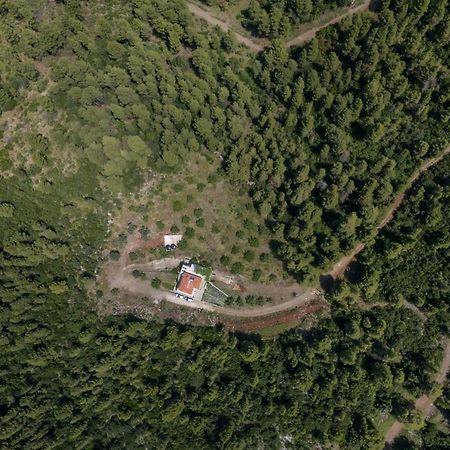 Dream House Capturing The Magic Of Nature Vlachia المظهر الخارجي الصورة