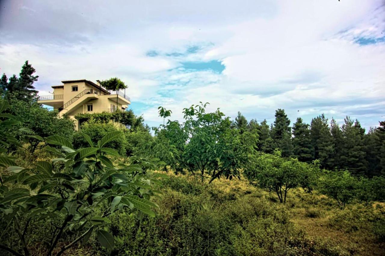 Dream House Capturing The Magic Of Nature Vlachia المظهر الخارجي الصورة