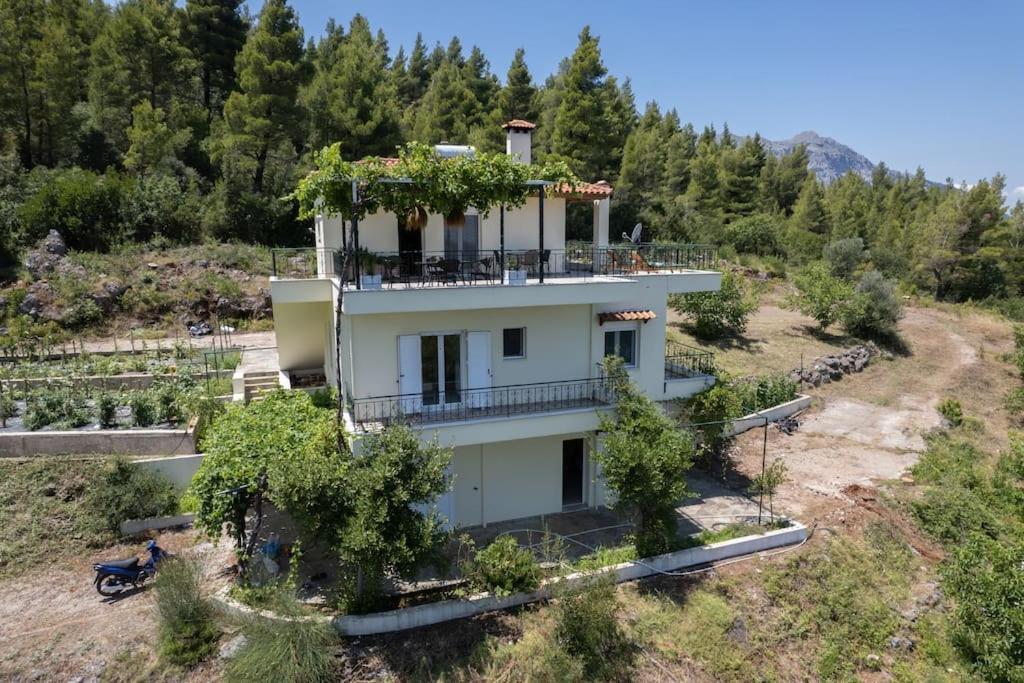 Dream House Capturing The Magic Of Nature Vlachia المظهر الخارجي الصورة