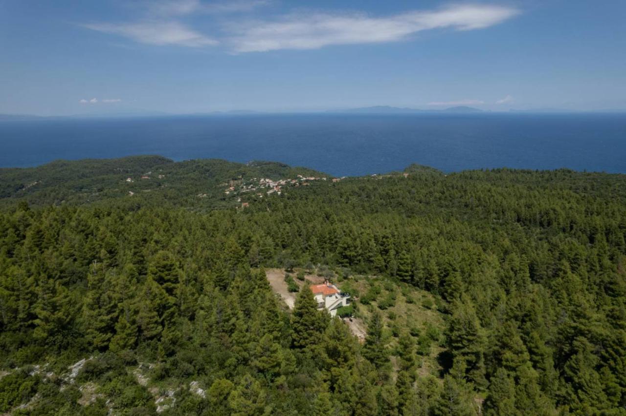 Dream House Capturing The Magic Of Nature Vlachia المظهر الخارجي الصورة