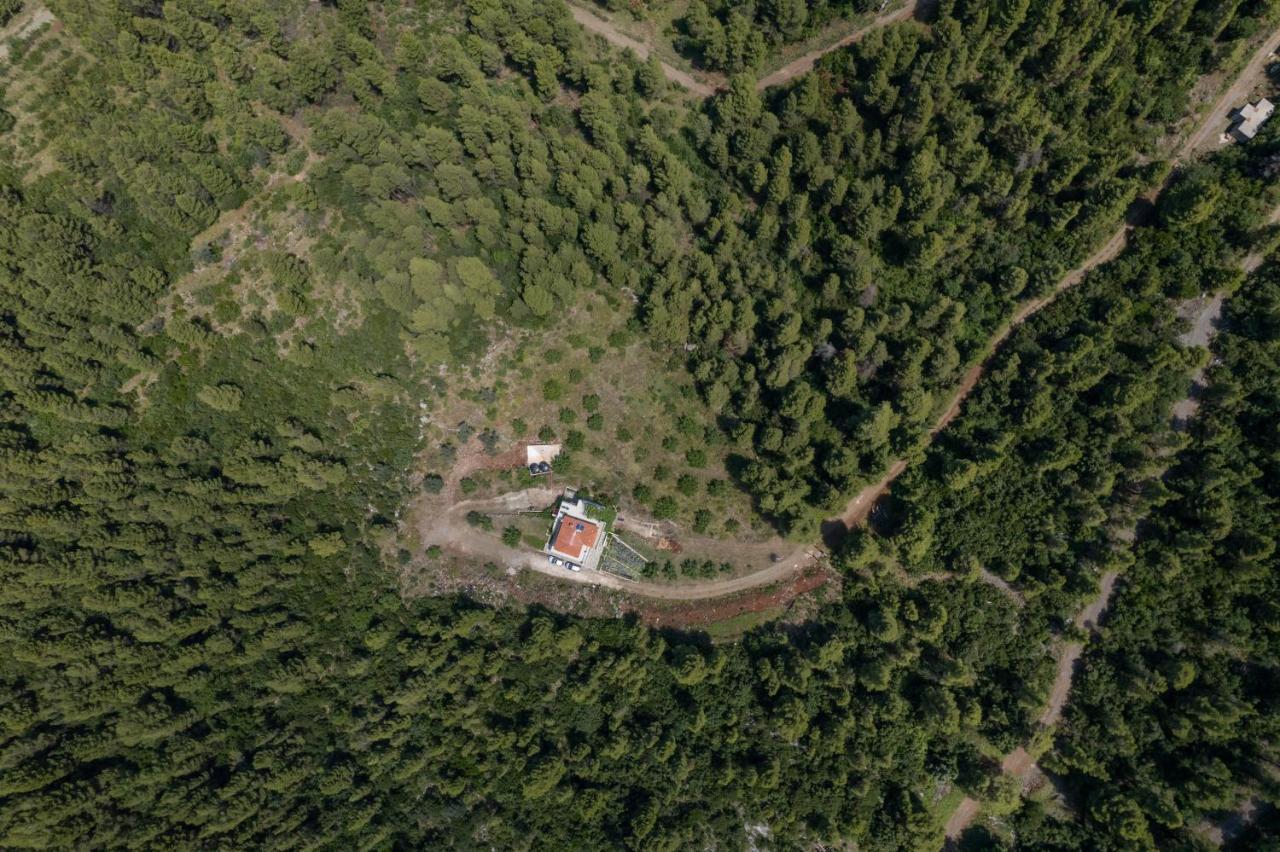Dream House Capturing The Magic Of Nature Vlachia المظهر الخارجي الصورة